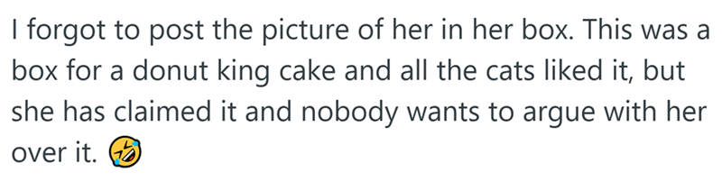 I forgot to post the picture of her in her box. This was a box for a donut king cake and all the cats liked it, but she has claimed it and nobody wants to argue with her over it.