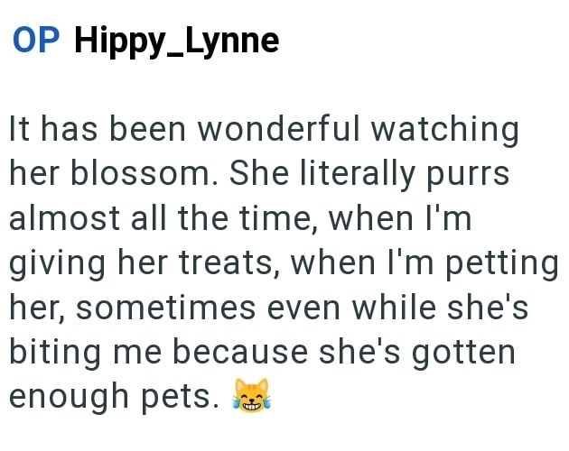 OP Hippy_Lynne It has been wonderful watching her blossom. She literally purrs almost all the time, when I'm giving her treats, when I'm petting her, sometimes even while she's biting me because she's gotten enough pets.t
