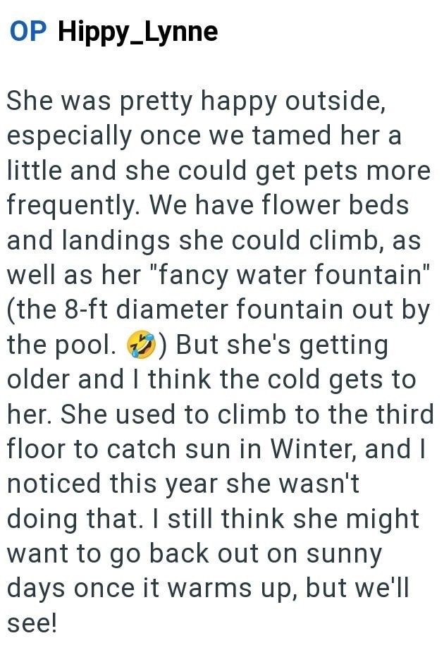 OP Hippy_Lynne She was pretty happy outside, especially once we tamed her a little and she could get pets more frequently. We have flower beds and landings she could climb, as well as her "fancy water fountain" (the 8-ft diameter fountain out by the pool. But she's getting older and I think the cold gets to her. She used to climb to the third floor to catch sun in Winter, and I noticed this year she wasn't doing that. I still think she might want to go back out on sunny days once it warms up, bu