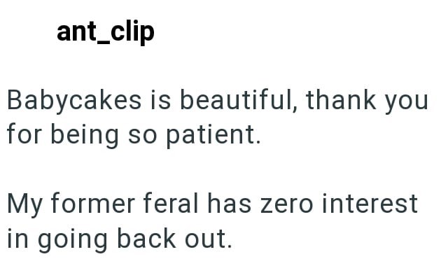 ant_clip Babycakes is beautiful, thank you for being so patient. My former feral has zero interest in going back out.