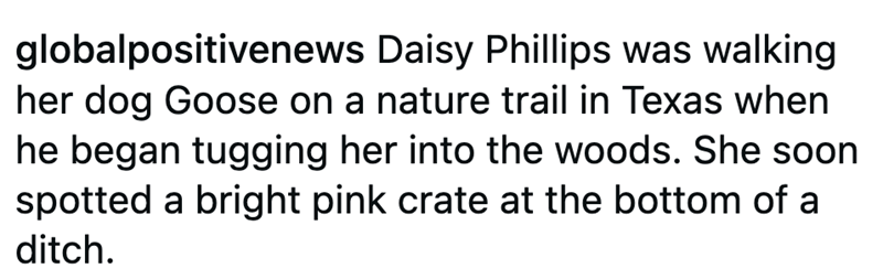 globalpositivenews Daisy Phillips was walking her dog Goose on a nature trail in Texas when he began tugging her into the woods. She soon spotted a bright pink crate at the bottom of a ditch.