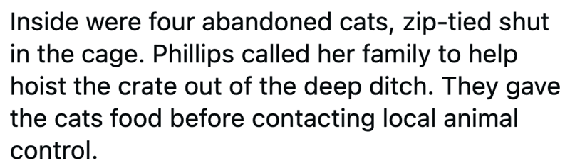 Inside were four abandoned cats, zip-tied shut in the cage. Phillips called her family to help hoist the crate out of the deep ditch. They gave the cats food before contacting local animal control.
