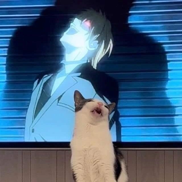 Cheezburger Image 10612307456