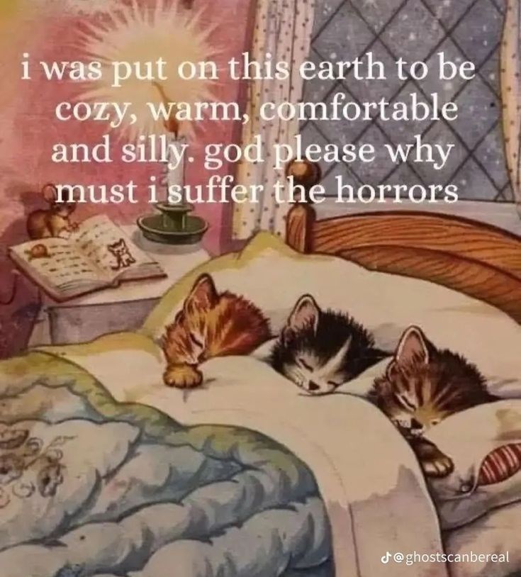 i was put on this earth to be cozy, warm, comfortable and silly. god please why must i suffer the horrors @ghostscanbereal
