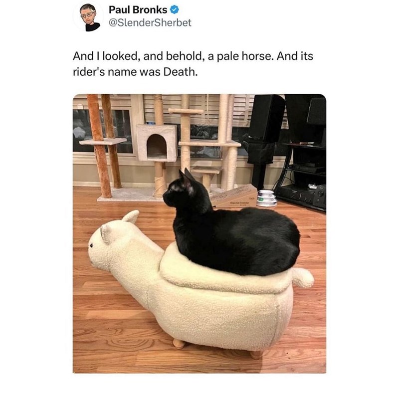 Paul Bronks @SlenderSherbet And I looked, and behold, a pale horse. And its rider's name was Death. Ge