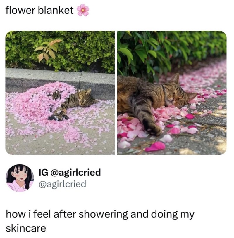 flower blanket IG @agirlcried @agirlcried how i feel after showering and doing my skincare
