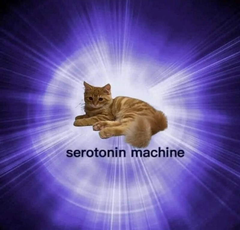 serotonin machine