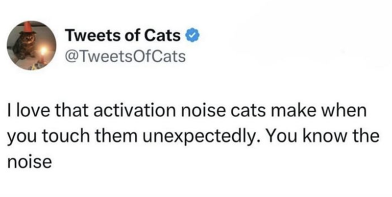 Tweets of Cats ☑ @TweetsOfCats I love that activation noise cats make when you touch them unexpectedly. You know the noise
