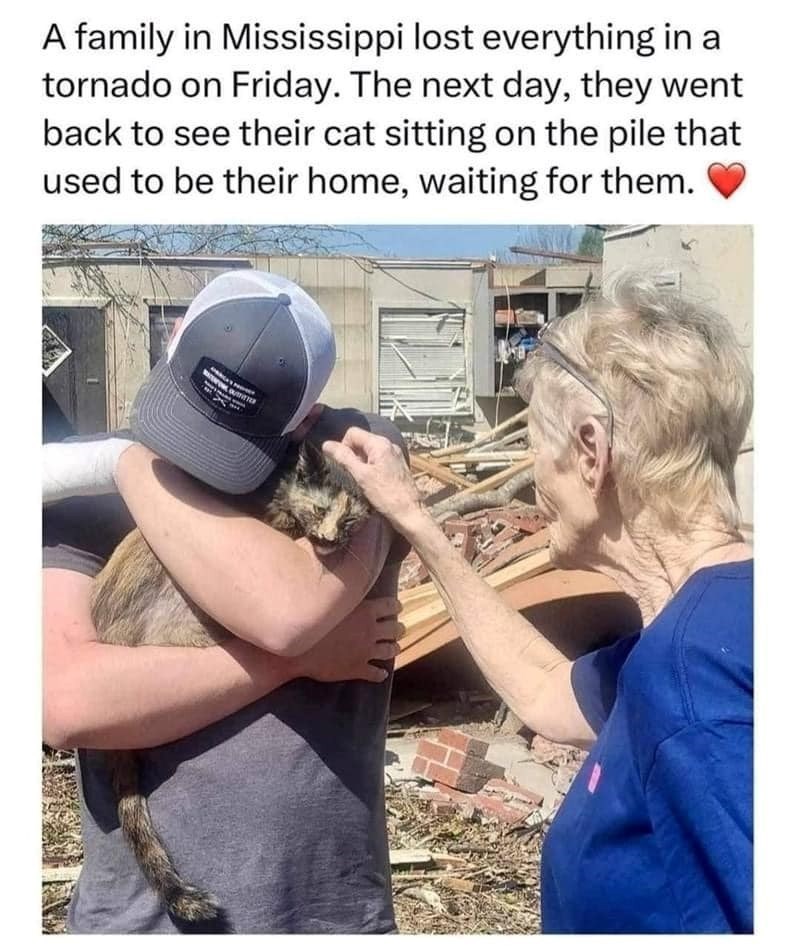 A family in Mississippi lost everything in a tornado on Friday. The next day, they went back to see their cat sitting on the pile that used to be their home, waiting for them.