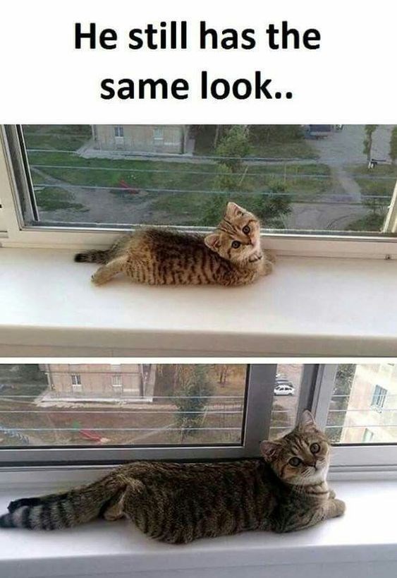 He still has the same look..