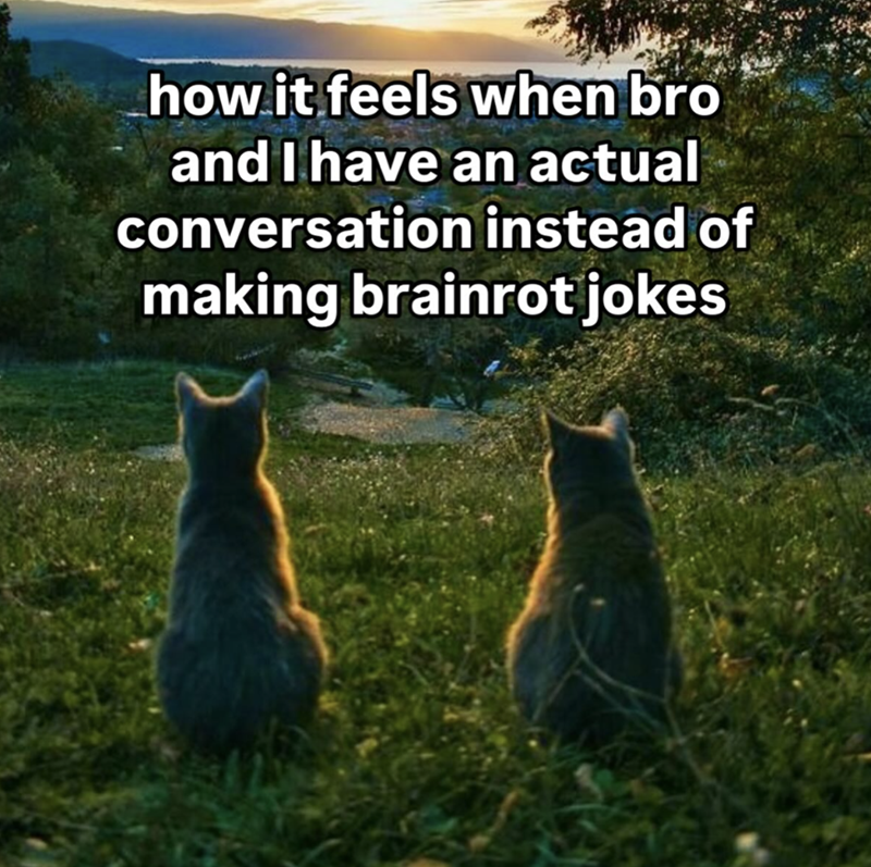 how it feels when bro and I have an actual conversation instead of making brainrot jokes