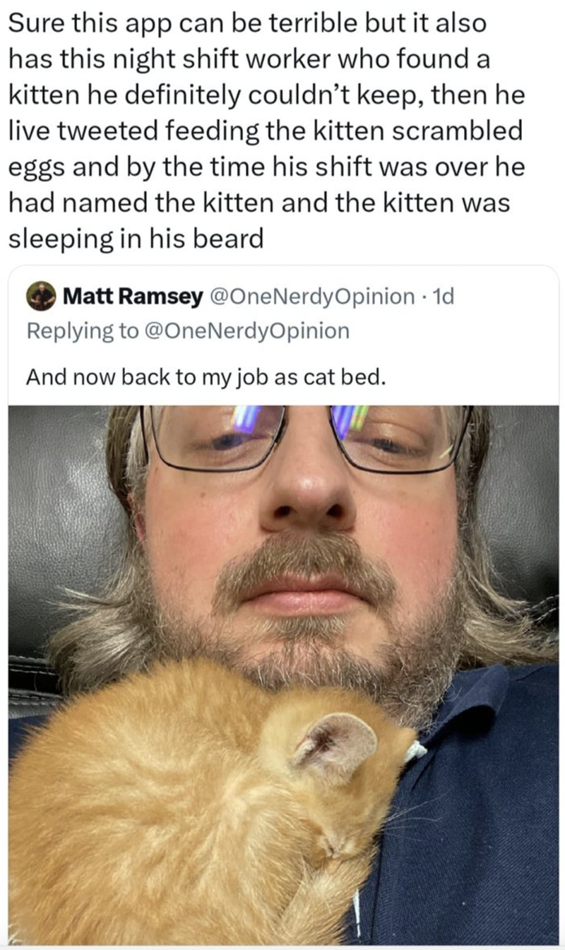 Sure this app can be terrible but it also has this night shift worker who found a kitten he definitely couldn't keep, then he live tweeted feeding the kitten scrambled eggs and by the time his shift was over he had named the kitten and the kitten was sleeping in his beard Matt Ramsey @OneNerdy Opinion · 1d Replying to @OneNerdyOpinion And now back to my job as cat bed.