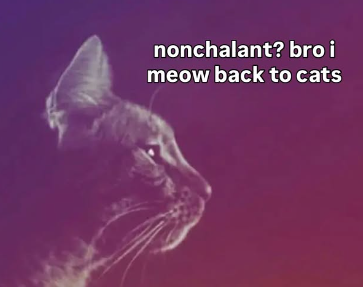 nonchalant? bro i meow back to cats