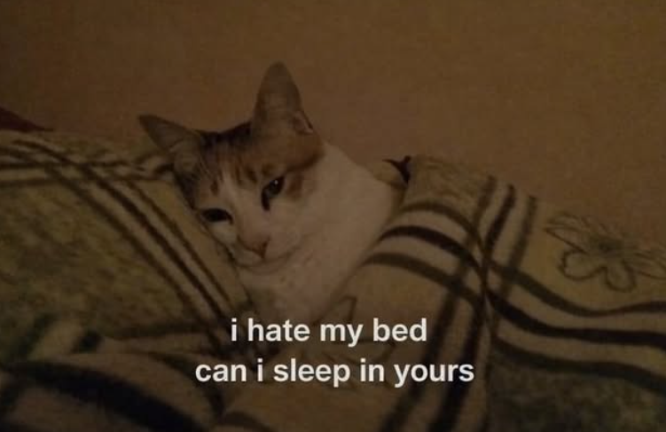 i hate my bed can i sleep in yours 333 示