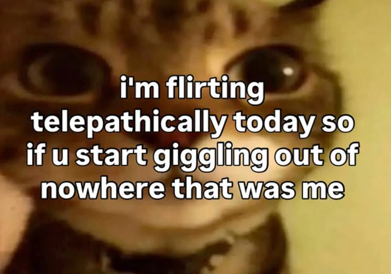 i'm flirting telepathically today so if u start giggling out of nowhere that was me