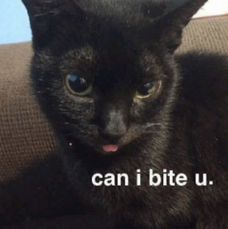 can i bite u.