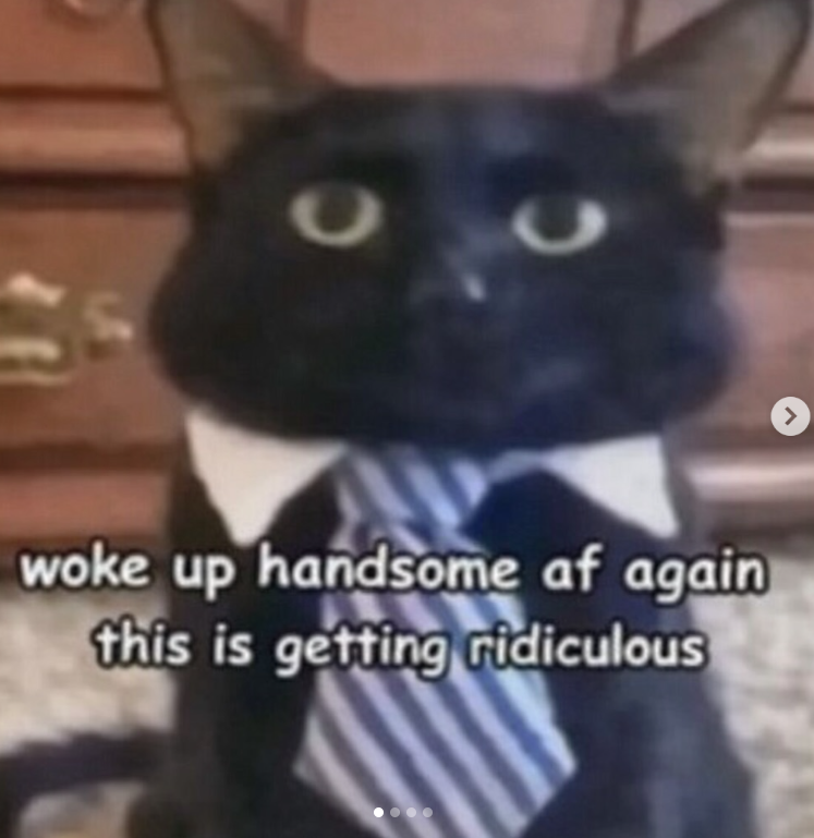 woke up handsome af again this is getting ridiculous >