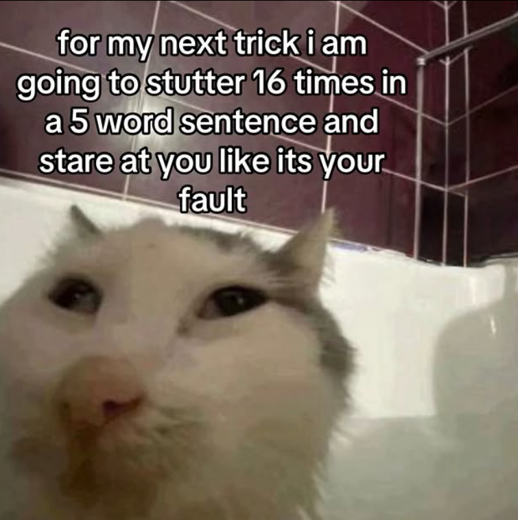 for my next trick i am going to stutter 16 times in a 5 word sentence and stare at you like its your fault