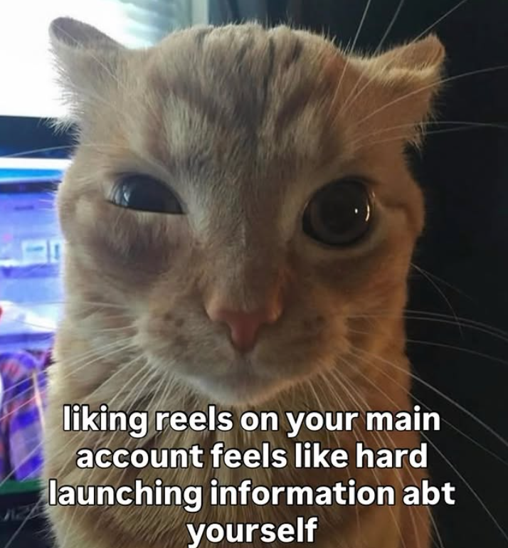 liking reels on your main account feels like hard launching information abt yourself