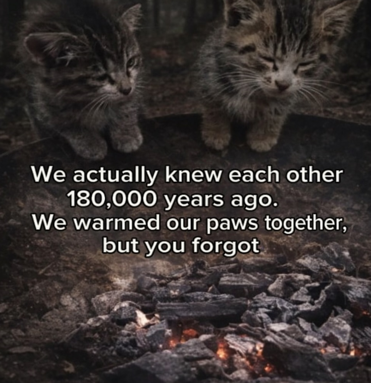 We actually knew each other 180,000 years ago. We warmed our paws together, but you forgot