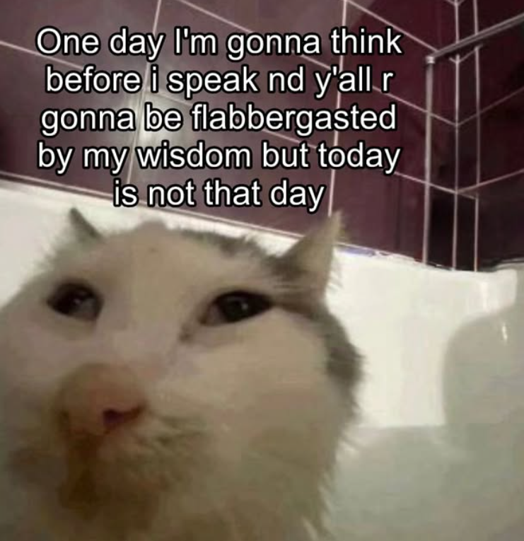 One day I'm gonna think before i speak nd y'all r gonna be flabbergasted by my wisdom but today is not that day