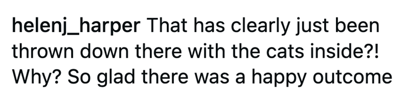 helenj_harper That has clearly just been thrown down there with the cats inside?! Why? So glad there was a happy outcome
