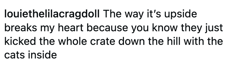 louiethelilacragdoll The way it's upside breaks my heart because you know they just kicked the whole crate down the hill with the cats inside