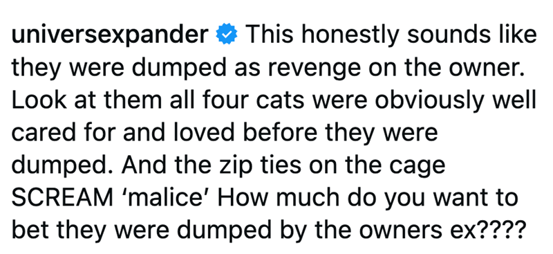 universexpander This honestly sounds like they were dumped as revenge on the owner. Look at them all four cats were obviously well cared for and loved before they were dumped. And the zip ties on the cage SCREAM 'malice' How much do you want to bet they were dumped by the owners ex????