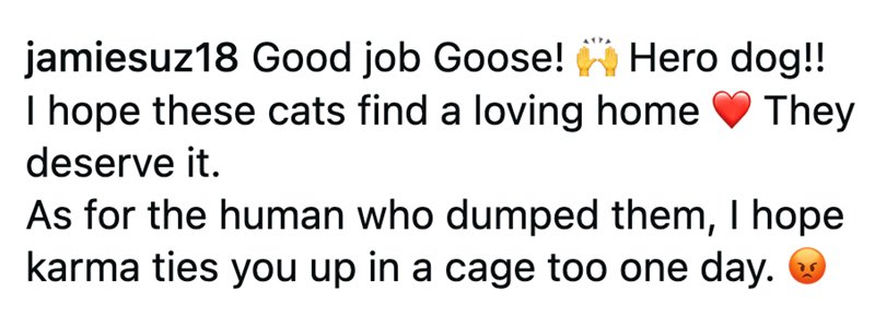 jamiesuz18 Good job Goose! Hero dog!! I hope these cats find a loving home deserve it. They As for the human who dumped them, I hope karma ties you up in a cage too one day.