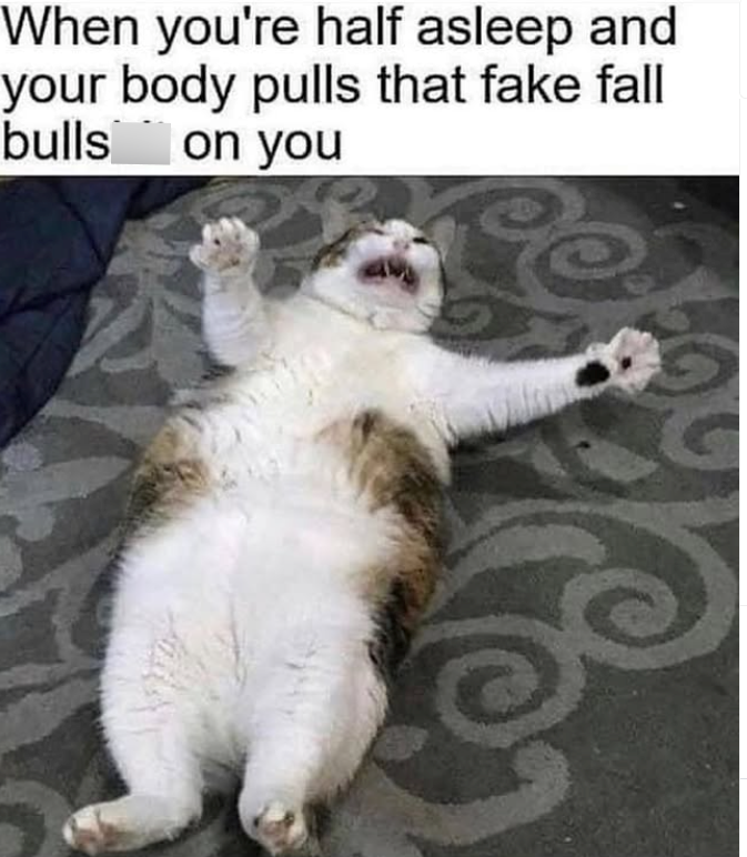 When you're half asleep and your body pulls that fake fall bulls on you Ce