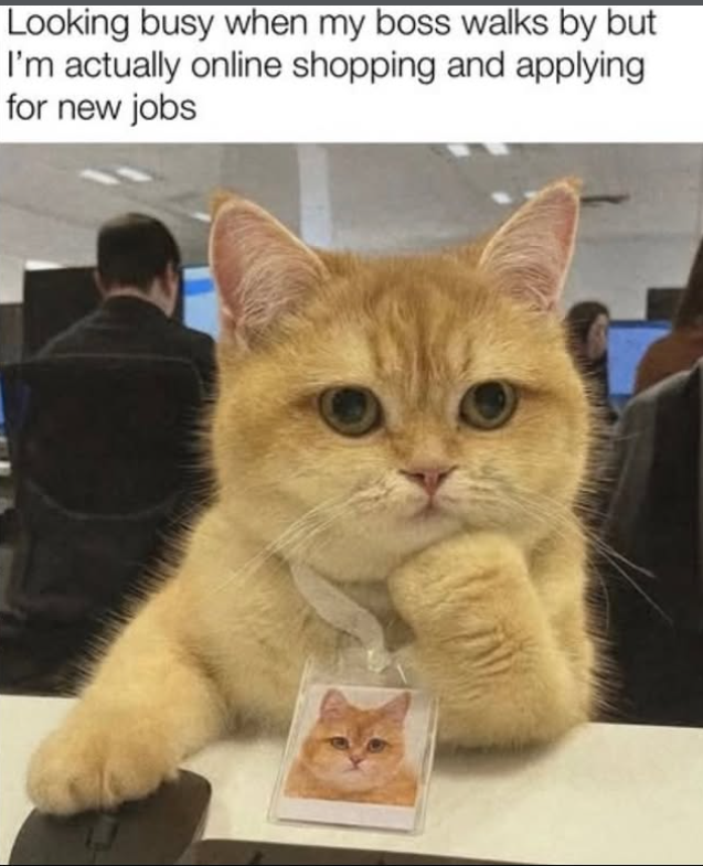 Looking busy when my boss walks by but I'm actually online shopping and applying for new jobs