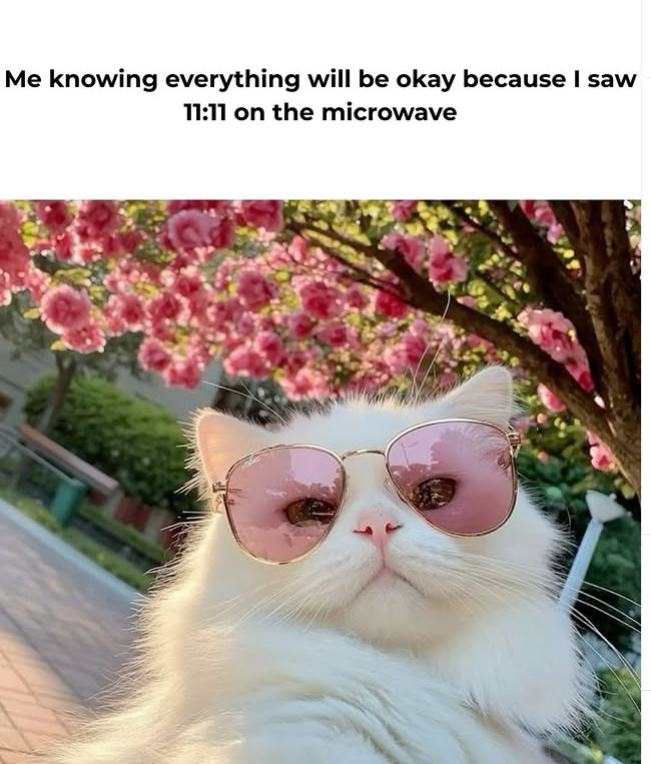 Me knowing everything will be okay because I saw 11:11 on the microwave
