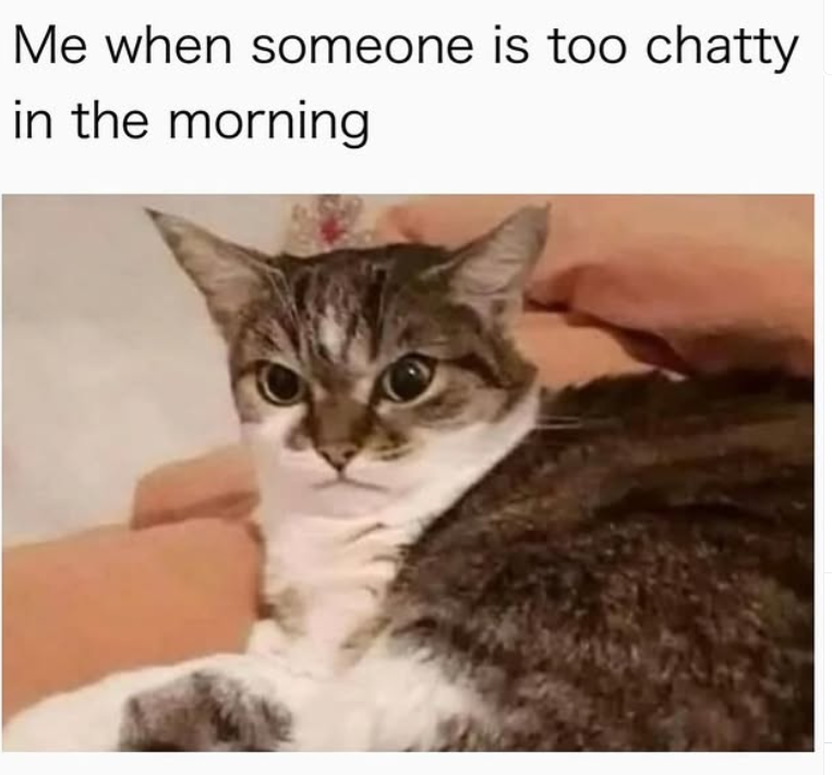 Me when someone is too chatty in the morning