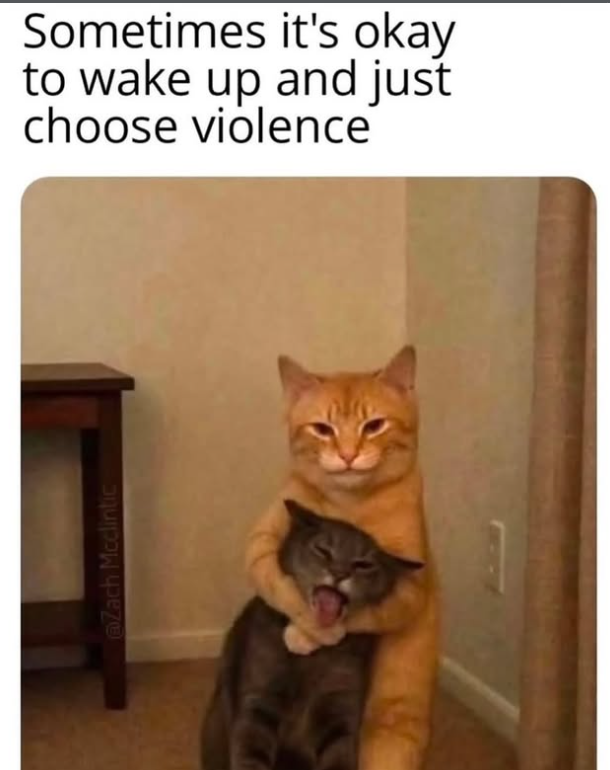 @Zach Mcclintic Sometimes it's okay to wake up and just choose violence