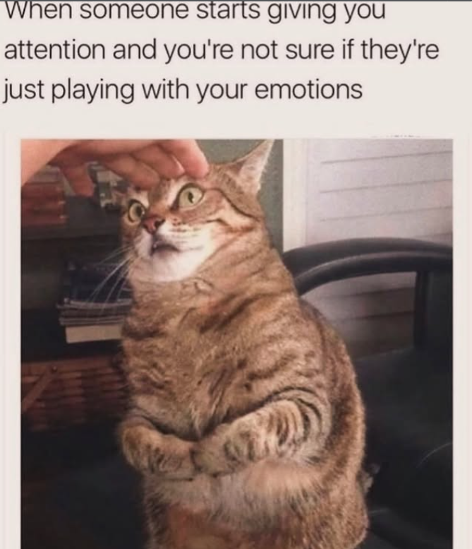 When someone starts giving you attention and you're not sure if they're just playing with your emotions