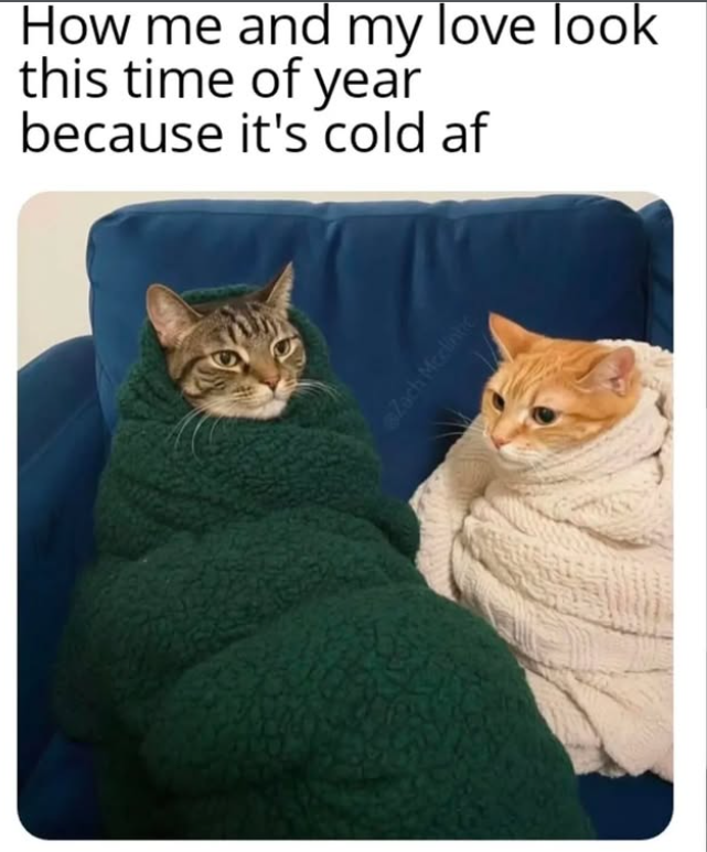 How me and my love look this time of year because it's cold af Zach Mcclintic