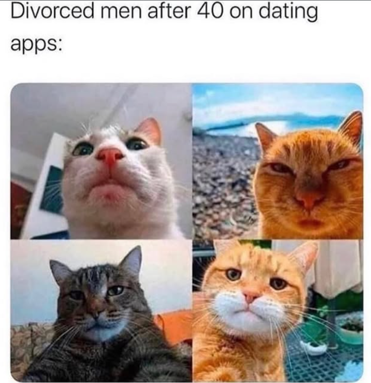 Divorced men after 40 on dating apps: