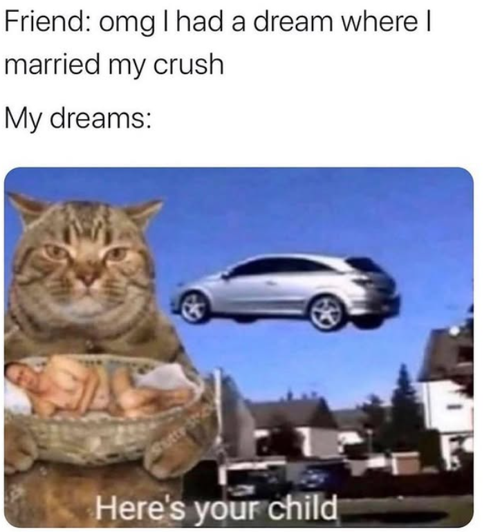 Friend: omg I had a dream where I married my crush My dreams: Shutty S Here's your child
