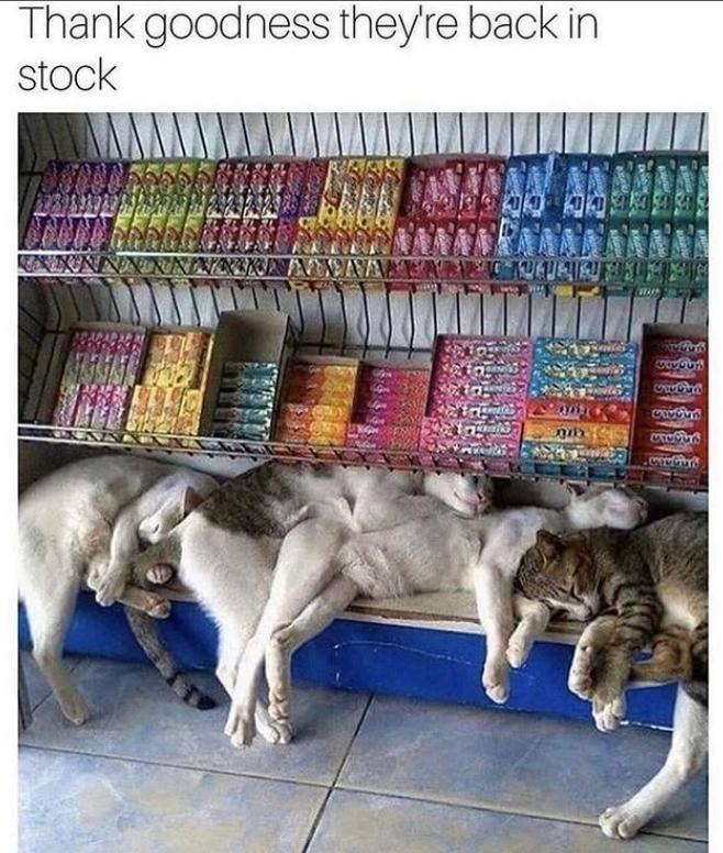 Thank goodness they're back in stock 485335 CREUS