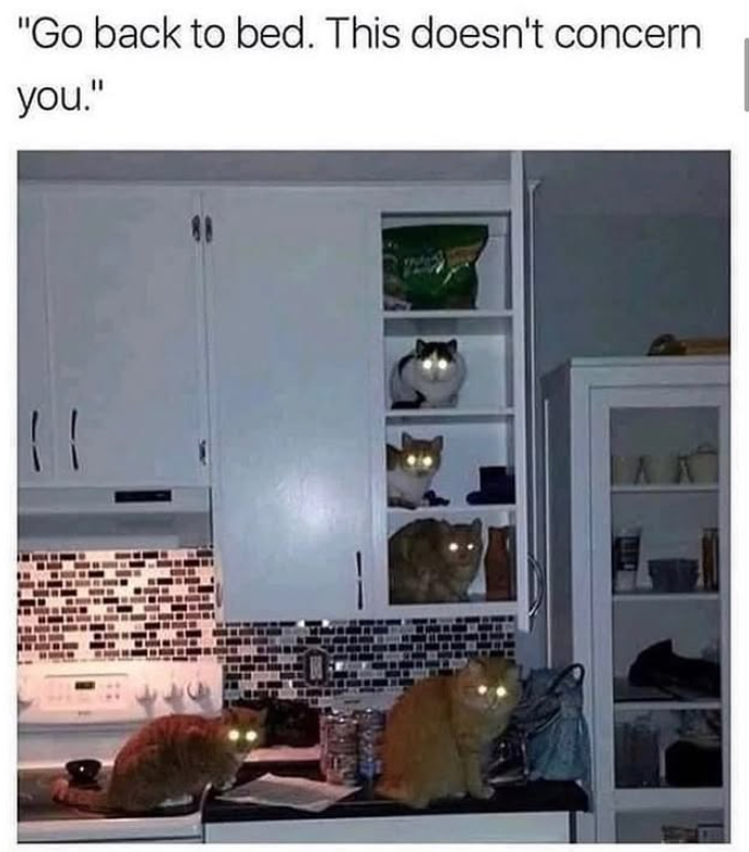 "Go back to bed. This doesn't concern you."