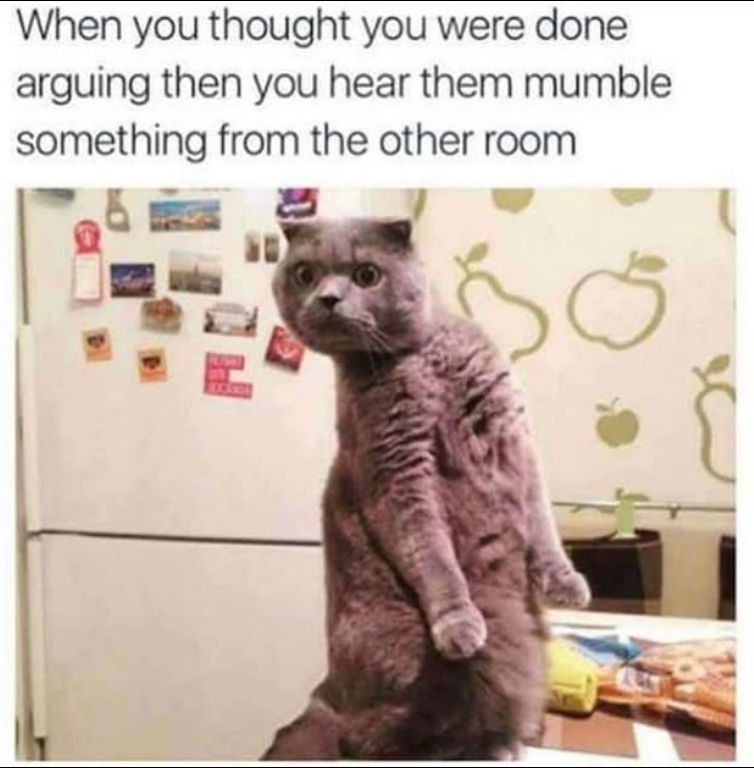 When you thought you were done arguing then you hear them mumble something from the other room