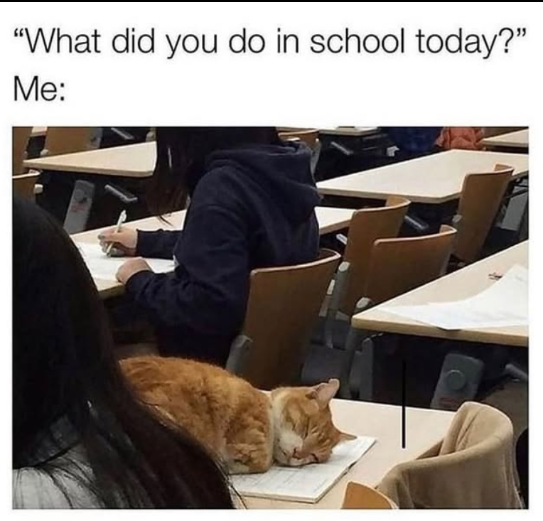 "What did you do in school today?" Me: