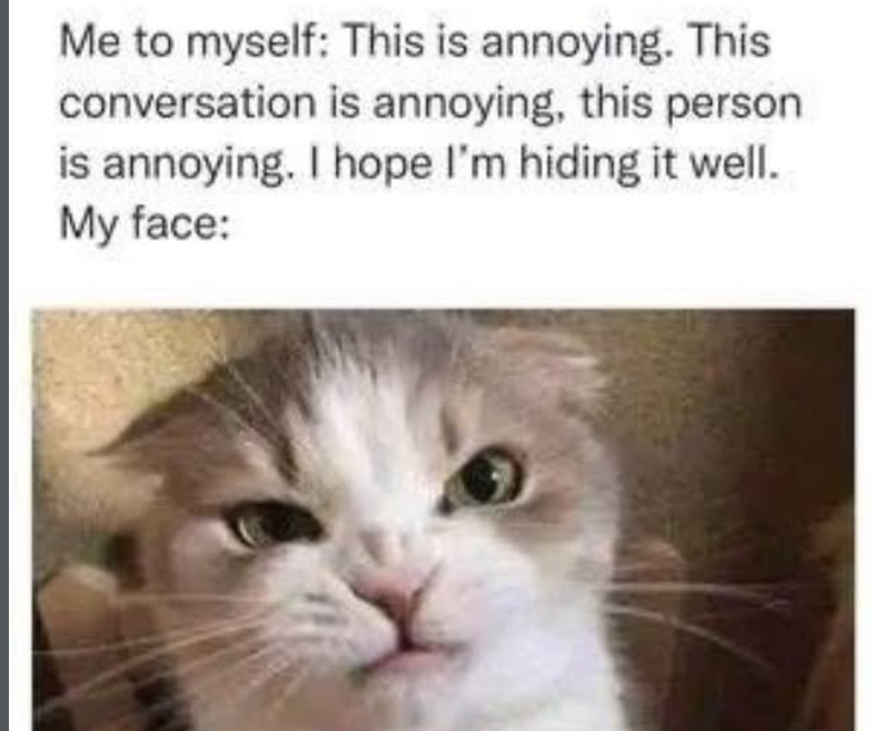 Me to myself: This is annoying. This conversation is annoying, this person is annoying. I hope I'm hiding it well. My face: