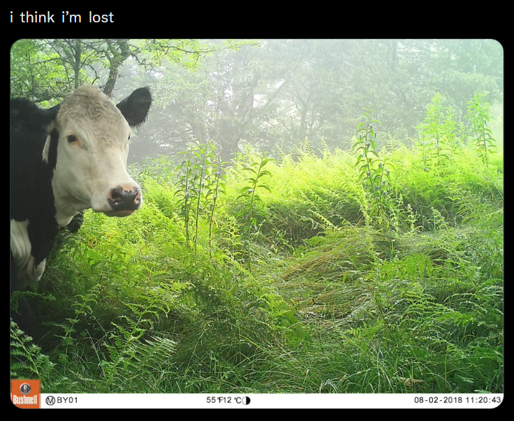 i think i'm lost Bushnell BY01 55 F12 'CO 08-02-2018 11:20:43