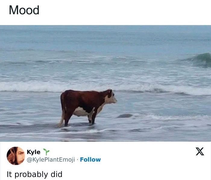 Mood Kyle @KylePlantEmoji Follow It probably did X