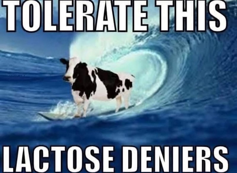 TOLERATE THIS LACTOSE DENIERS
