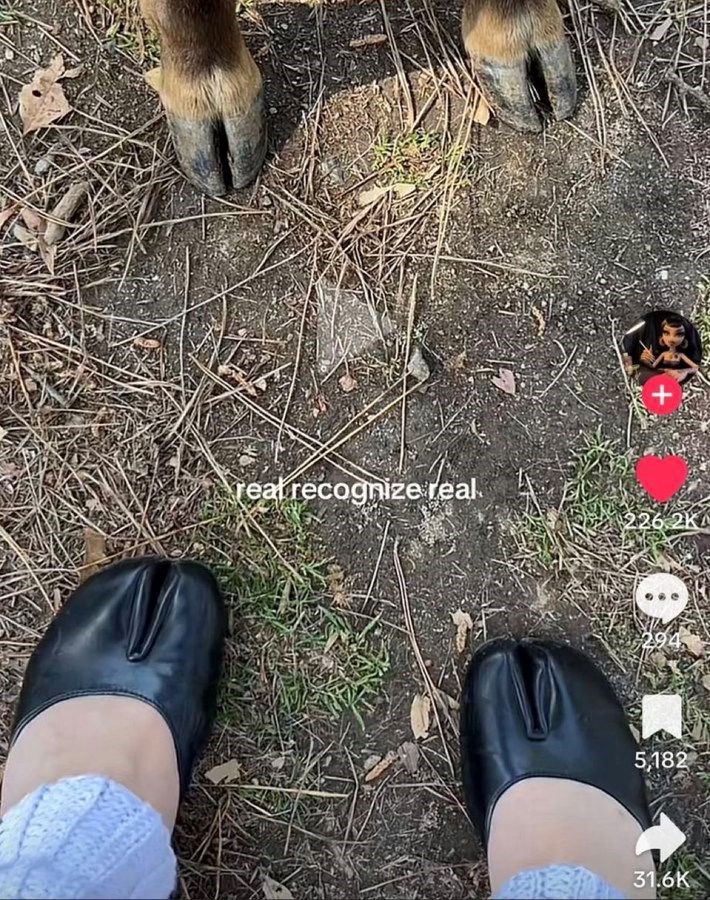 real recognize real + 5,182 31.6K