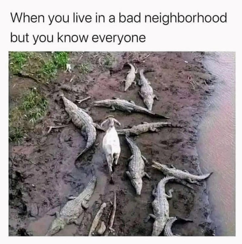 When you live in a bad neighborhood but you know everyone