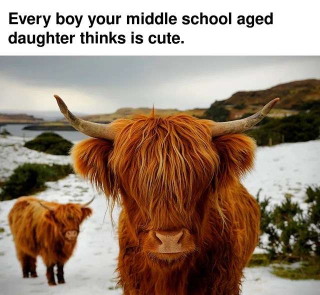 Every boy your middle school aged daughter thinks is cute.