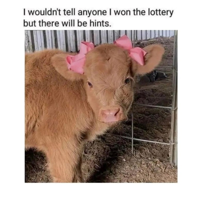 I wouldn't tell anyone I won the lottery but there will be hints.